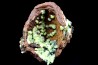 Rare adamite geode - Santa eulalia, Mexico