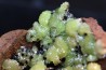 Rare adamite geode - Santa eulalia, Mexico