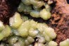 Rare adamite geode - Santa eulalia, Mexico