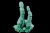 Malachite - Katanga, Congo