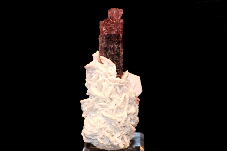 Tourmaline & albite * Giltit-Baltistan, Pakistan