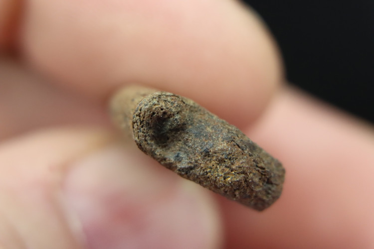 Rare oviraptorosaur manus claw - Hell Creek fmt - USA