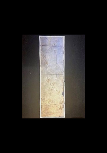 dinosaur trackway  on large slab (12 footprints) - lower jurassic - France